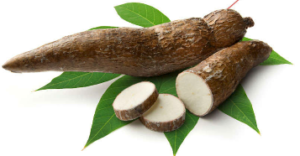 THE USE OF CASSAVA ROOT AND LEAF MEALS IN POULTRY DIETS - LIFA's Blog